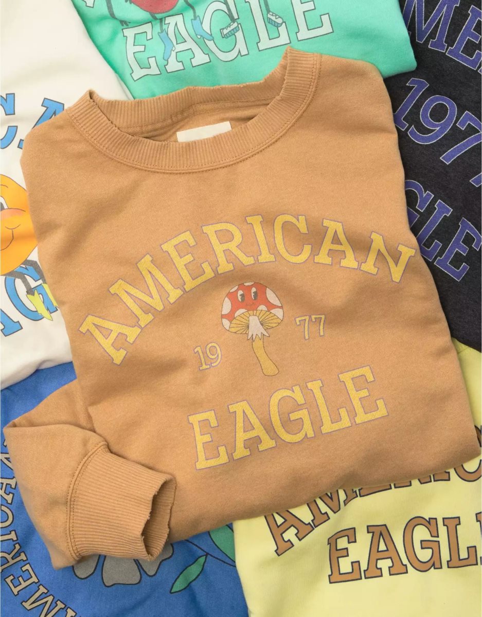 T Shirt Graphique American Eagle AE Oversized Marron Femme | OMN-04521378